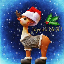 Rudolphe te souhaite Joyeux Noël