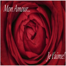 Mon amour, Je t'aime!