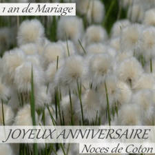 1 an noces coton