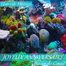 11 ans noces de corail