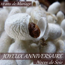 12 ans noces de soie