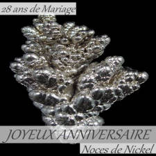 28 ans noces de nickel