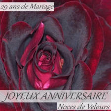 29 ans noces de velours