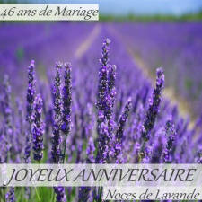 46 ans noces de lavande