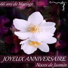 66 ans noces de jasmin