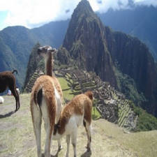 Machu Picchu Pérou