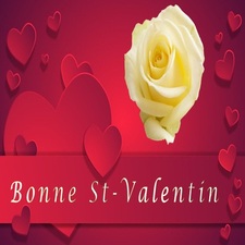 Carte virtuelle bonne Saint-Valentin jolie fleur